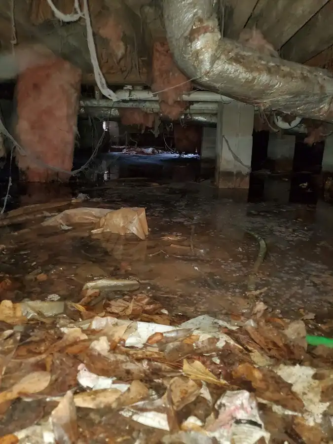 Crawl space flood assessment for Leak Detection & Repair in Sherman